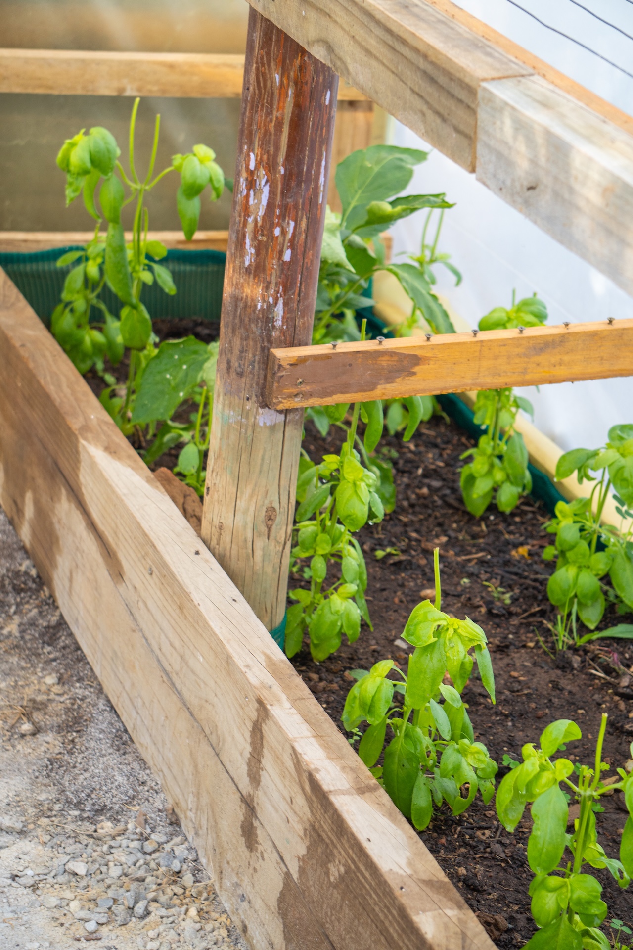 Irrigation systems