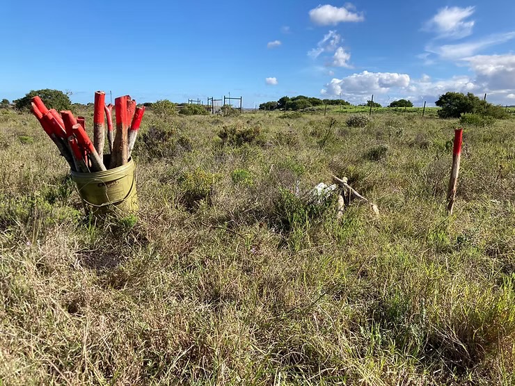 Marking Out the Food Forest