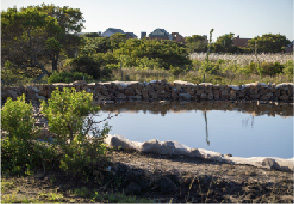 Dam