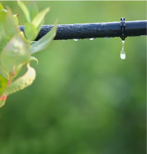 Irrigation